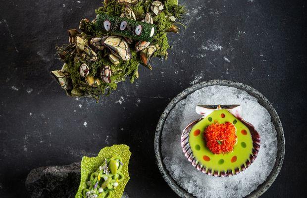 Rest Mayta experiencia